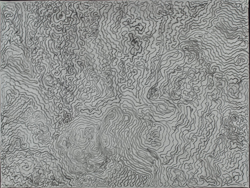 Bleached Coral, Advance Drawing, Fall 2024