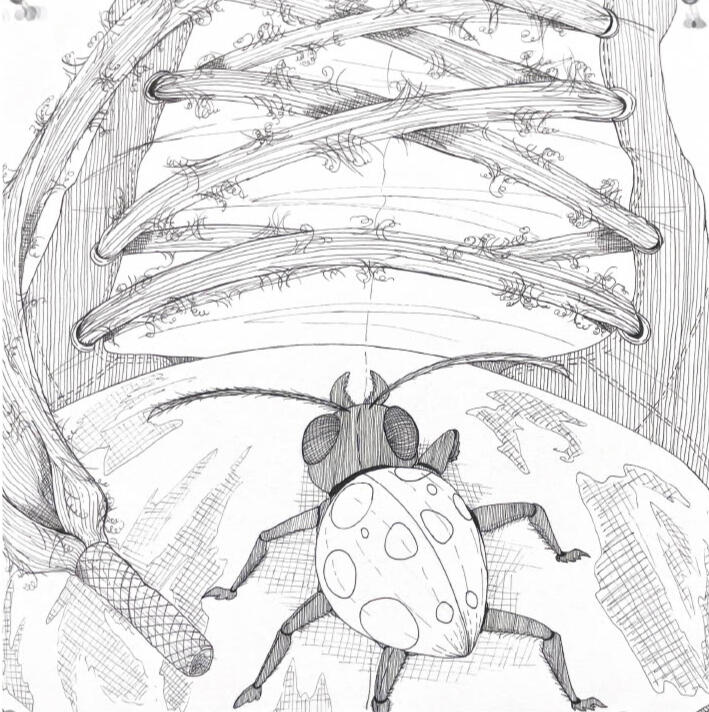 The Grid, Drawing Experimentation, Spring 2024