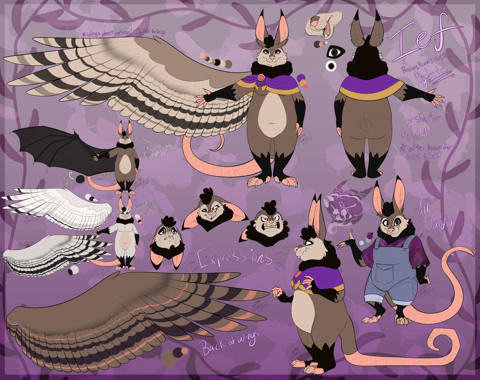 Ief Character Reference Sheet, 2023